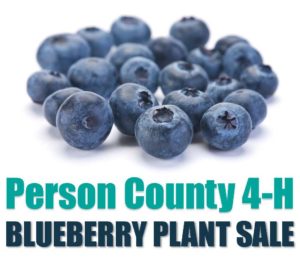 Cover photo for Blueberry Plant Sale Fundraiser