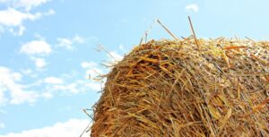 Bale of Hay